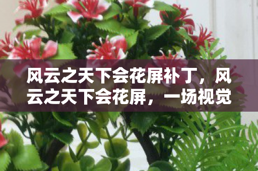 风云之天下会花屏补丁，风云之天下会花屏，一场视觉盛宴的意外插曲