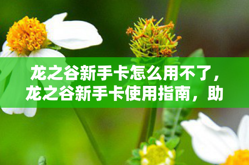 龙之谷新手卡怎么用不了，龙之谷新手卡使用指南，助你快速启程冒险之旅
