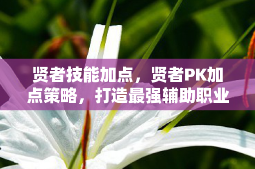 贤者技能加点，贤者PK加点策略，打造最强辅助职业