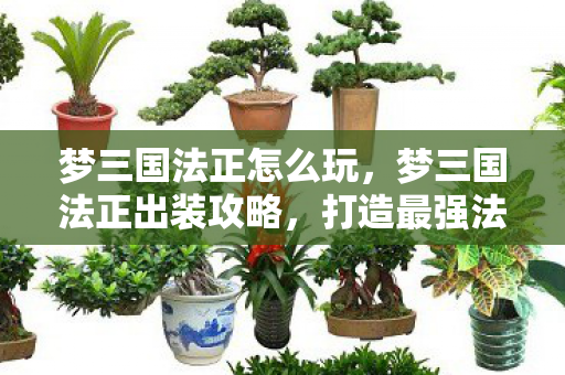 梦三国法正怎么玩，梦三国法正出装攻略，打造最强法师的装备搭配