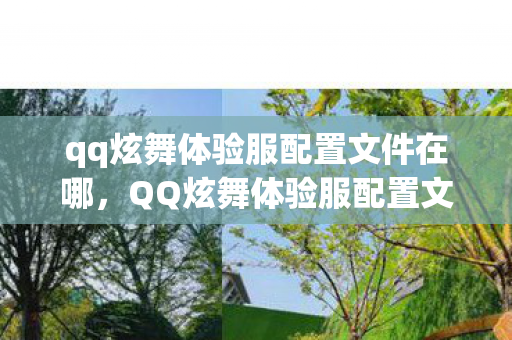 qq炫舞体验服配置文件在哪，QQ炫舞体验服配置文件详解