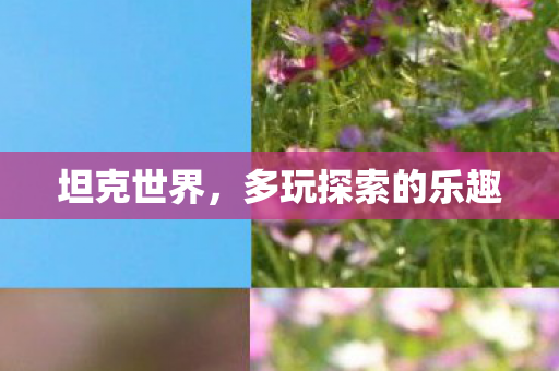 坦克世界，多玩探索的乐趣