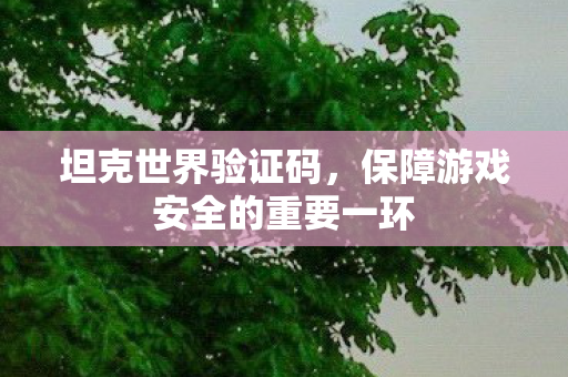 坦克世界验证码，保障游戏安全的重要一环