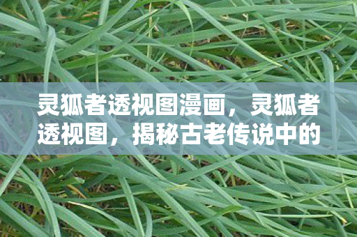 灵狐者透视图漫画，灵狐者透视图，揭秘古老传说中的神秘生物