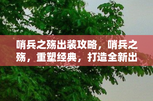 哨兵之殇出装攻略，哨兵之殇，重塑经典，打造全新出装策略