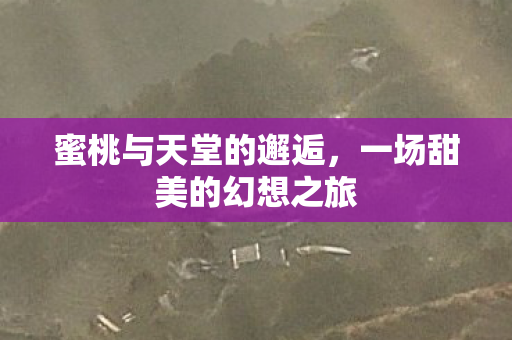 蜜桃与天堂的邂逅，一场甜美的幻想之旅