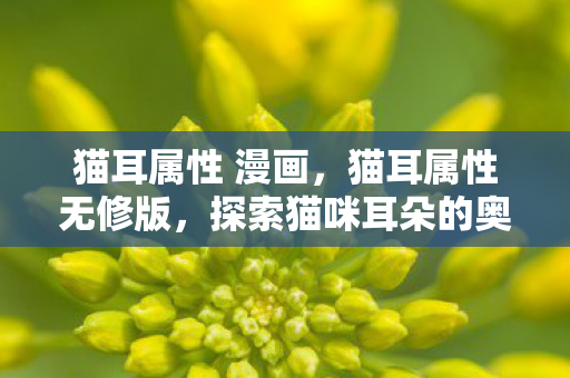 猫耳属性 漫画，猫耳属性无修版，探索猫咪耳朵的奥秘