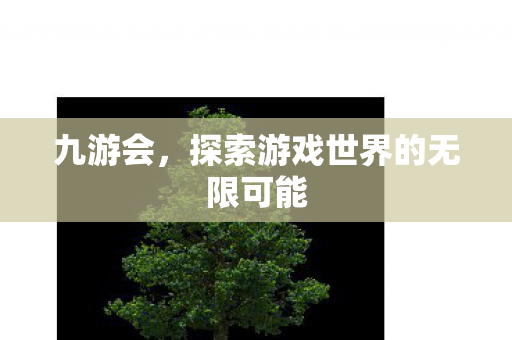 九游会，探索游戏世界的无限可能