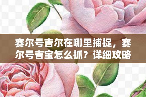 赛尔号吉尔在哪里捕捉，赛尔号吉宝怎么抓？详细攻略助你轻松捕获