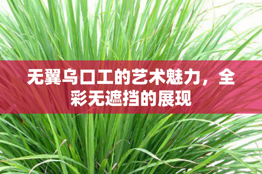 无翼乌口工的艺术魅力，全彩无遮挡的展现