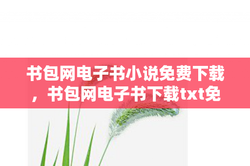 书包网电子书小说免费下载,书包网电子书下载txt免费下载,探索数字阅读的无限可能 书包网电子书小说免费下载,书包网电子书下载txt免费下载,探索数字阅读的无限可能