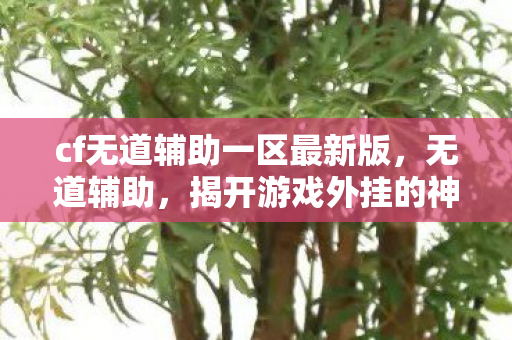 cf无道辅助一区最新版，无道辅助，揭开游戏外挂的神秘面纱