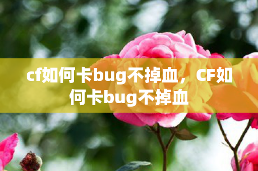 cf如何卡bug不掉血,CF如何卡bug不掉血 cf如何卡bug不掉血,CF如何卡bug不掉血