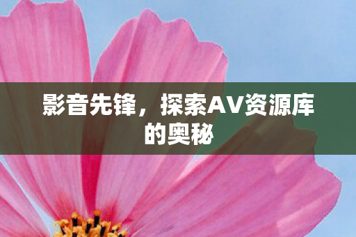 影音先锋，探索AV资源库的奥秘