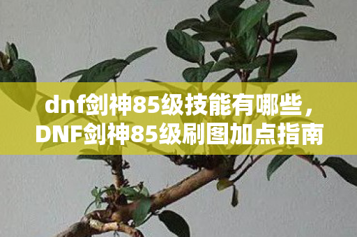 dnf剑神85级技能有哪些，DNF剑神85级刷图加点指南，打造高效战斗力的关键