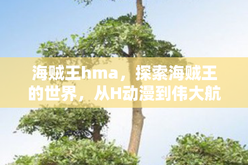 海贼王hma，探索海贼王的世界，从H动漫到伟大航路的奇幻之旅