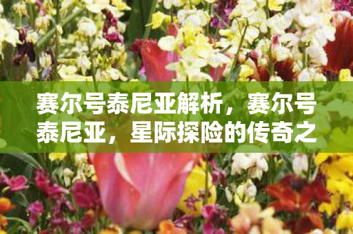 赛尔号泰尼亚解析，赛尔号泰尼亚，星际探险的传奇之旅