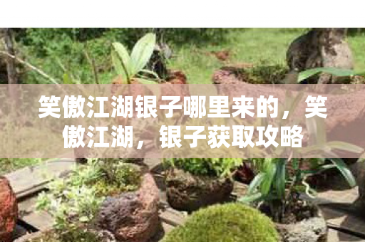 笑傲江湖银子哪里来的,笑傲江湖,银子获取攻略 笑傲江湖银子哪里来的,笑傲江湖,银子获取攻略