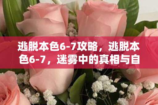 逃脱本色6-7攻略，逃脱本色6-7，迷雾中的真相与自我救赎