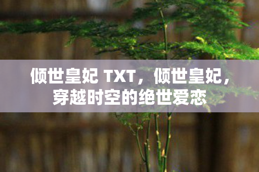 倾世皇妃 TXT，倾世皇妃，穿越时空的绝世爱恋