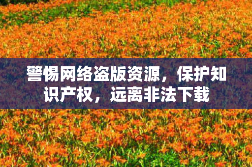 警惕网络盗版资源，保护知识产权，远离非法下载