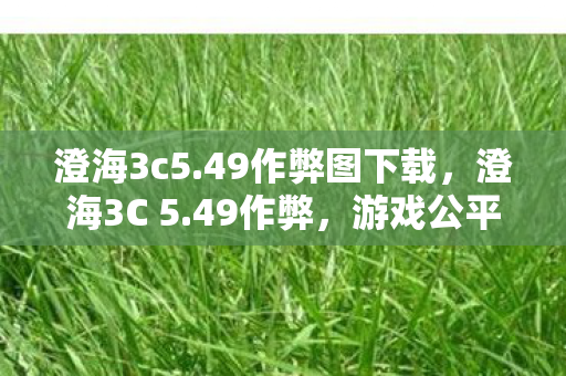澄海3c5.49作弊图下载，澄海3C 5.49作弊，游戏公平性的挑战与反思