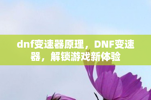 dnf变速器原理，DNF变速器，解锁游戏新体验