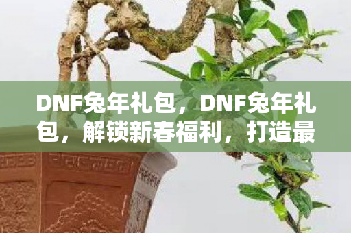 DNF兔年礼包，DNF兔年礼包，解锁新春福利，打造最强角色！