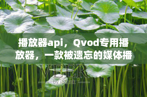 播放器api，Qvod专用播放器，一款被遗忘的媒体播放神器