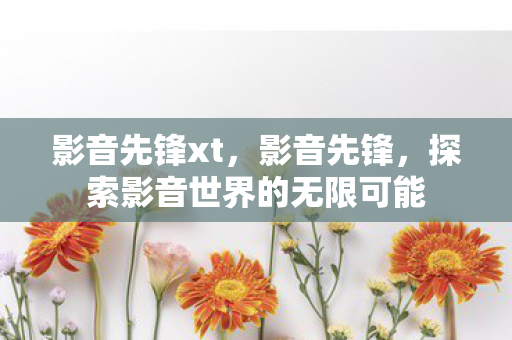 影音先锋xt，影音先锋，探索影音世界的无限可能