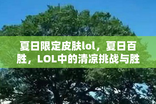 夏日限定皮肤lol，夏日百胜，LOL中的清凉挑战与胜利