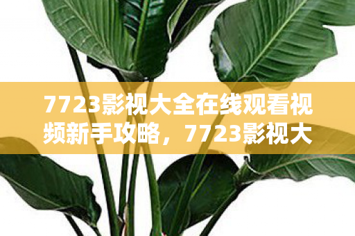 7723影视大全在线观看视频新手攻略，7723影视大全，打造你的私人影院