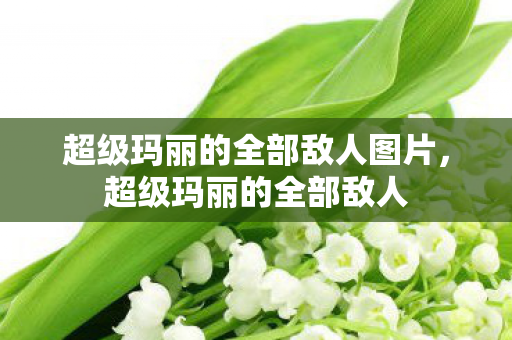 超级玛丽的全部敌人图片，超级玛丽的全部敌人