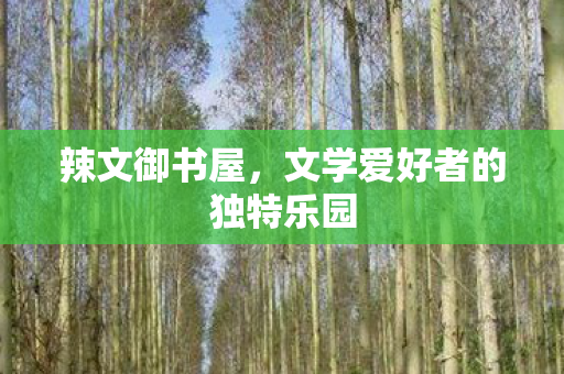 辣文御书屋，文学爱好者的独特乐园