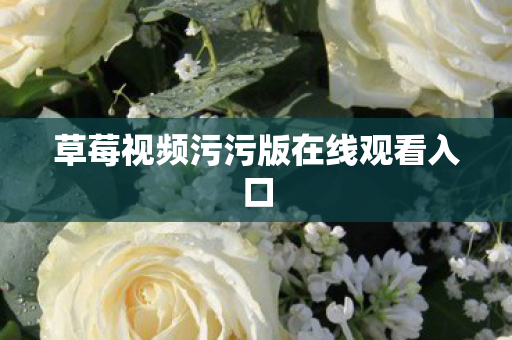 草莓视频污污版在线观看入口