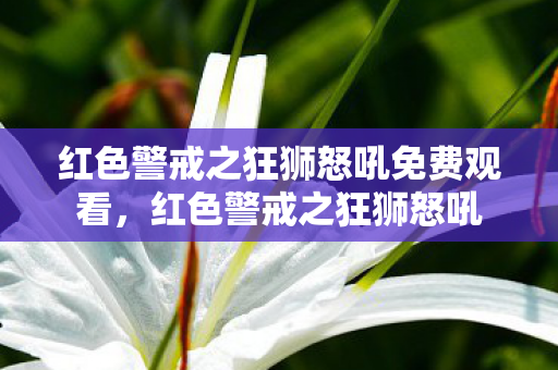 红色警戒之狂狮怒吼免费观看，红色警戒之狂狮怒吼