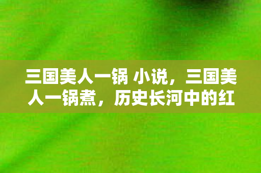 三国美人一锅 小说，三国美人一锅煮，历史长河中的红颜命运