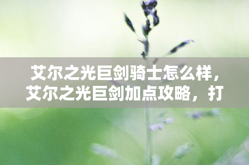 艾尔之光巨剑骑士怎么样，艾尔之光巨剑加点攻略，打造最强近战武器