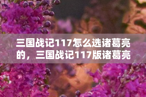 三国战记117怎么选诸葛亮的,三国战记117版诸葛亮选择攻略 三国战记117怎么选诸葛亮的,三国战记117版诸葛亮选择攻略