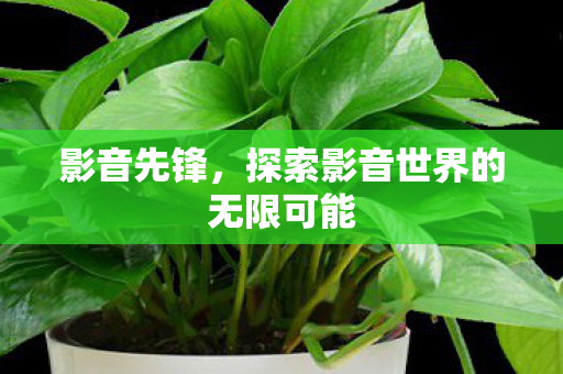 影音先锋，探索影音世界的无限可能