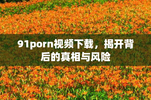 91porn视频下载,揭开背后的真相与风险 91porn视频下载,揭开背后的真相与风险