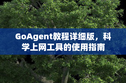 GoAgent教程详细版，科学上网工具的使用指南