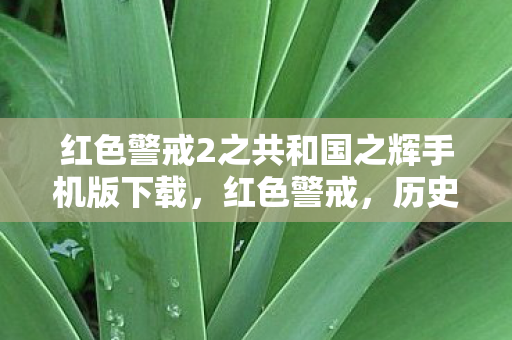 红色警戒2之共和国之辉手机版下载，红色警戒，历史、文化与现代影响