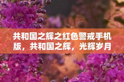 共和国之辉之红色警戒手机版，共和国之辉，光辉岁月中的不朽篇章