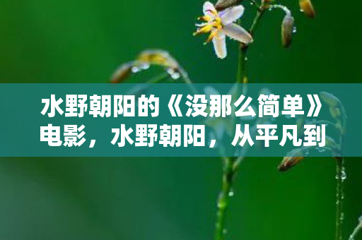 水野朝阳的《没那么简单》电影，水野朝阳，从平凡到卓越的日本女性企业家
