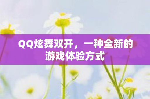 QQ炫舞双开,一种全新的游戏体验方式 QQ炫舞双开,一种全新的游戏体验方式