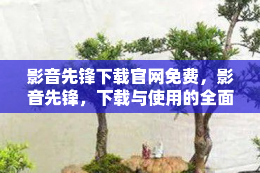 影音先锋下载官网免费，影音先锋，下载与使用的全面指南