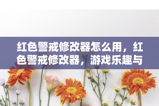 红色警戒修改器怎么用，红色警戒修改器，游戏乐趣与道德边界的微妙平衡