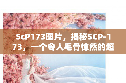 ScP173图片，揭秘SCP-173，一个令人毛骨悚然的超自然生物