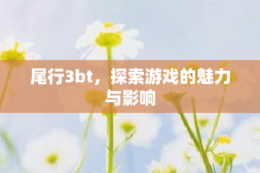 尾行3bt，探索游戏的魅力与影响